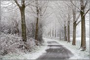 Pappelallee... Meerbusch *Lank Latum* bei seltenem Schneefall, Winteridylle am Stadtrand
