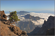 über den Wolken... Caldera *La Palma* am Außenrand