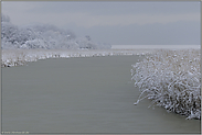 trübe und verhangen... Wintereinbruch *an der See*