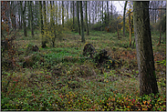 alte Rheinaue... Ilvericher Altrheinschlinge *Meerbusch*