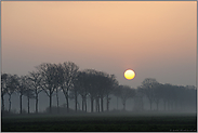 morgendliche Stimmung... Niederrhein *NRW*