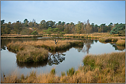 Moorsee im Herbst... Teufelskuhle *Maasduinen*