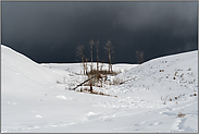 Gegensätze... Yellowstone National Park *Nordamerika*