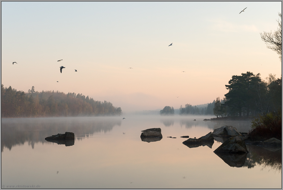 Morgenstimmung am See... Schweden *Südschweden*