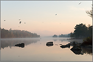 Morgenstimmung am See... Schweden *Südschweden*