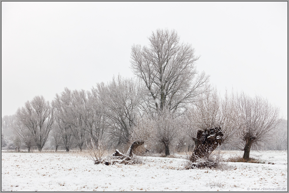 Winter in den Meerbenden... Meerbusch *Ilvericher Altrheinschlinge*, Rheinkreis Neuss, Nordrhein-Westfalen im Schnee