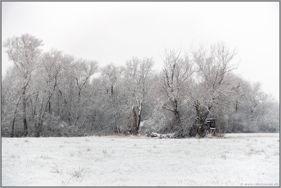 Winterlandschaft am Niederrhein... Ilvericher Altrheinschlinge *Meerbusch* bei strakem Schneefall