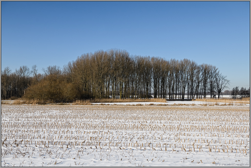 Blick auf den Meerbruch... Ilvericher Altrheinschlinge *Meerbusch*, Frauenbenden, verlandete Altstromrinne des Rheins bei Meerbusch Büdericch