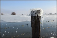 Eishaube... Eisbildung *Winterhochwasser 2020/2021* Bislicher Insel