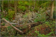 im Reich des Zwergenkönigs Alberich... Felsenmeer *Sauerland*